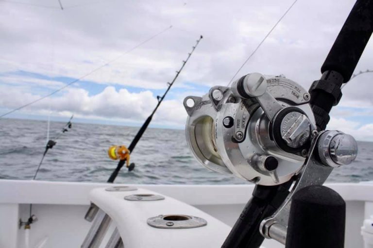 Bucket List Sportfishing 31′ Gamefisher Quepos